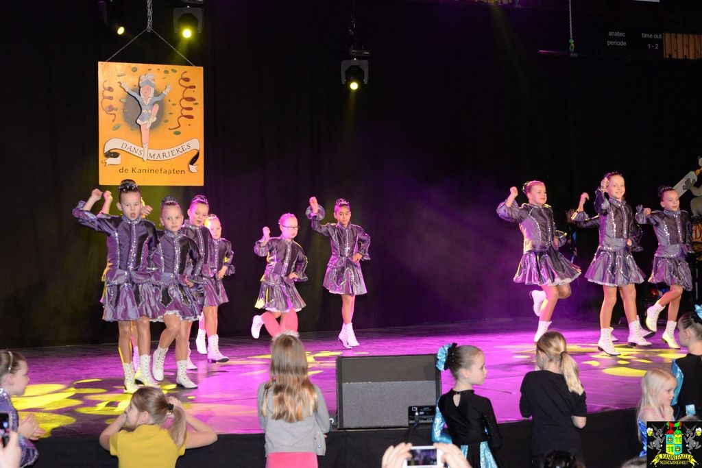 ../Images/Dansmarieke festival 2018 097.jpg